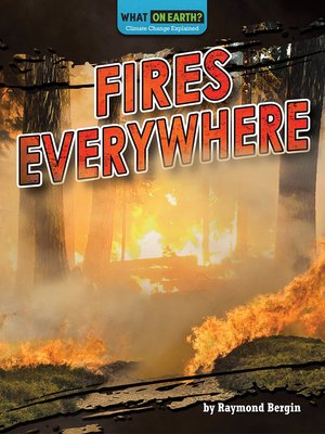 cover image of Fires Everywhere